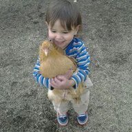 ChickaD7