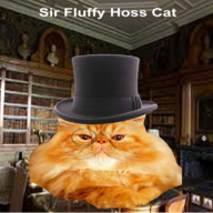SirFluffyHoss
