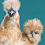 CHICKYDEB