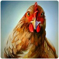 OneFreshChicken