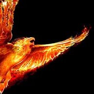 The Feenix