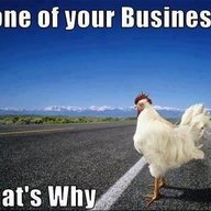 ChickenAnarchy