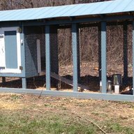 Jens Chickens