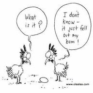 Chunky Chickens