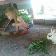 laniebug
