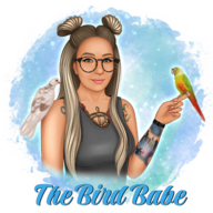 TheBirdBabe