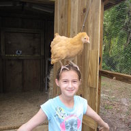 chickenonmyhead