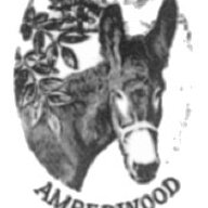 amberwood