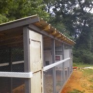 Bamabird