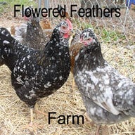 TxFlowers