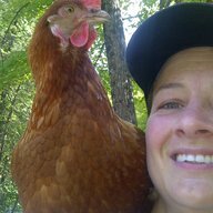 Chick-a-roo