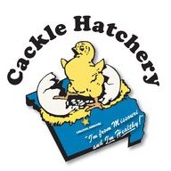 CackleHatchery