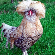 FeatherhilRF