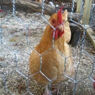 eoliverpeck