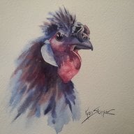 Desert Brooder