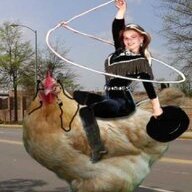 WildWestChick