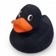 Black Duck
