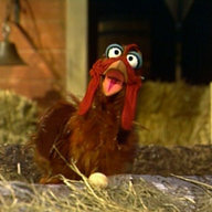 muppetchicken