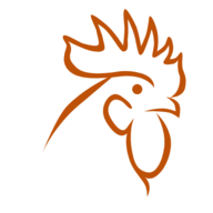 Seachickens12
