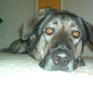 Tam'ra of Rainbow Vortex