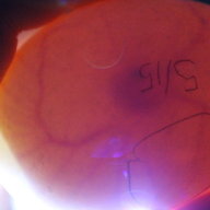 Booboo9820