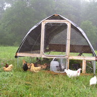 foxtailfarmers