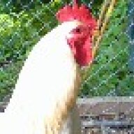 Rowanm77