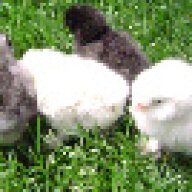 fuzz