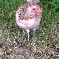 Margy1