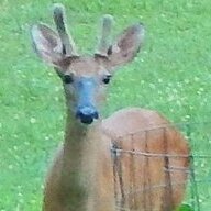 Farmfriend