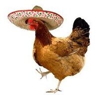 AbsoluteChicken