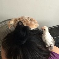 sammyjane72