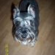 Mrs lone cedar farms