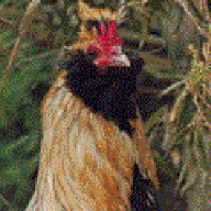 Kazzandra