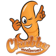 ChubbyMealworms