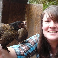 Cluckity Cluck