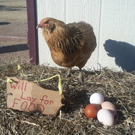 Nomorechickens