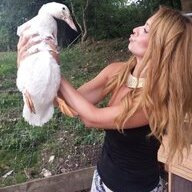 chillivonquack