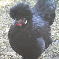 Liette