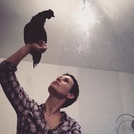 notcat
