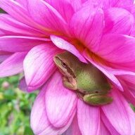 KimberlyGardens
