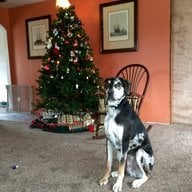 CatahoulaMom