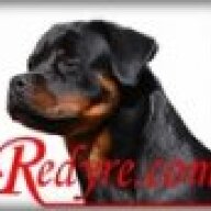 Redyre Rotties