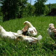 mothernaturesdaughter