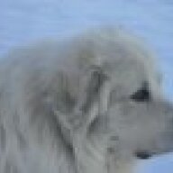 irongait@verizon.net