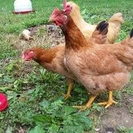 jfeathers09