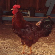 RubyEmerald
