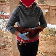 chickentrunks