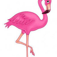 Flamingosstock