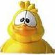 cwazy_chick